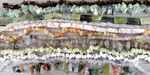 12 Gemstone Bead Strands Bundle - Bulk Lot for Jewellery Making - Jade, Quartz