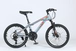 20 Inch Mountain Bike 7 Speed Gears, Adjustable Seat Kids' Bike Grey  Disc Brake