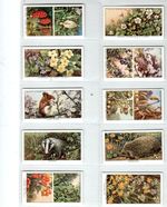 WILLS: Life in the Hedgerow (Unissued) Full Set 50 Cigarette Cards