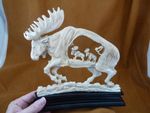 (moose-33) Moose Elk bull cutout of shed ANTLER figurine Bali detailed carving
