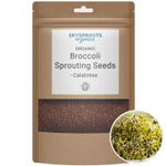 Organic Broccoli Sprouting Seeds - Calabrese | SkySprouts