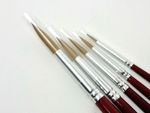 Major Brushes Handmade Sable Artist Paint Brushes Pack of 5 Sizes 0,2,4,6,8
