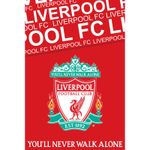 Liverpool FC Large Blanket Football Super Soft Fleece Throw New Design YNWA Red