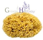 Natural Dried Greek Sea Sponge Unbleached 5.0"-5.50" inches(12-14cm) Kalymnos.