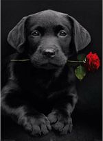 5D DIY LABRADOR PUP & ROSE Diamond Art Painting - Adults & Kids 40x30  in UK