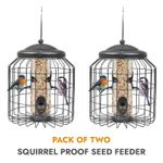 2 x Squirrel Proof Hanging Bird Seed Feeder Heavy Duty Garden Wild Birds
