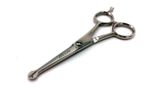 PET GROOMING DOG PROBE SAFETY MOUSTACHE EAR NOSE ROUND BLUNT END SCISSORS 4.5"