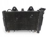 TRIUMPH TROPHY 900 Radiator fan