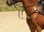 Windsor Leather 5 Five Point Breastplate Martingale Black Havana 3 Sizes