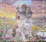 Beautiful Springer Spaniel Diamond Art
