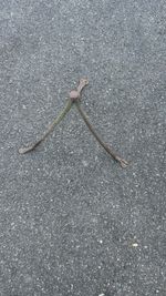 Vintage hand forged Blacksmiths/farrier Hoof Foot Stand/horse foot rest x2 