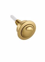 Brushed Brass D/F Push Button 39-42mm Fits Siamp Optima49, Twyford, Vitra Toilet