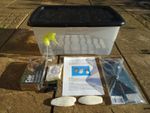 GIANT AFRICAN LAND SNAIL ADULT KIT (WITH HEAT MAT).