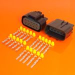 Genuine Delphi GT280 Series 10 Way Male & Female Connector Kit 15326661 15326660