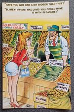 Vintage Saucy Seaside Bamforth Comic Postcard, Unposted. Black Triangle No.2012