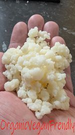 30g ORGANIC Milk Kefir GRAINS TIBETAN
