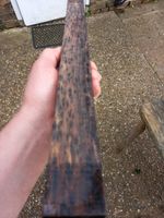 Birdseye Burmese Blackwood Turning Blank-Black and white-ish contrast