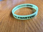 Universal Studios Celebration Band Men in black- FREE POSTAGE