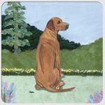 Rhodesian Ridgeback Coasters - Set of 4