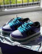 Nike SB Dunk Low Pro Women’s Skateboarding Shoes - Hayley Wilson UK5