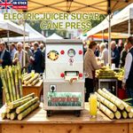 450W Electric Sugar Cane Juice Machine Commercial Juice Press Electric Juicer
