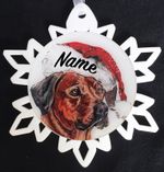 Santa Rhodesian Ridgeback Dog Christmas Ornament - Free Personalization