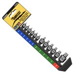 SabreCut 12pc Low Profile Torx Plus Socket Set TP10–TP60 Dual-Drive