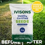 5KG Premium Shady Area Grass Seed 🌱 Fast Growing Lawn Mix for Shaded Gardens
