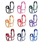 Gallop Horse Halter Enhanced Comfort - Contoured Fit & Moisture-Wicking Fabric