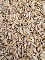 20kg Jumbo Sunflower Hearts Premium wild bird