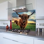Highland Cow Glass Splashback