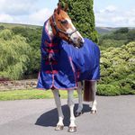 Ventomasta 200g Mediumweight Combo Neck Turnout Rug Navy Blue
