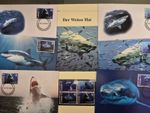 St. Vincent 2006 ** - WWF Full Chapter - The Great White Shark w058