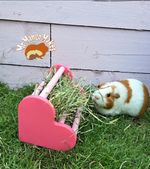 Guinea Pig Hay Rack, Rabbit Hay Rack, Heart Hay Rack, Small Animal Hay Rack