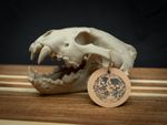 Life Size Wolverine Skull Replica – Realistic 3D Printed Bone Model Display