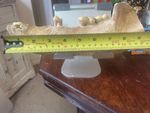 Partial Fossil Cave Bear Jaw With Teeth