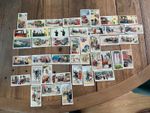 Wills cig cards -“Safety First” (1934)- 41 cards from set of 50- 67 x 37mm