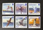 ALDERNEY 2003 MNH SEABIRDS MIGRATING BIRDS STAMP SET