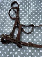 Cottage Craft Lunging Cavesson Brown Full (D)