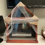 Triangular Wooden Display Case for US Flag with Glass Front