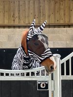 Zebra Print Padded Mesh Fly Mask Hood with Ears Horse and Pony Sizes