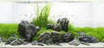 Aquarium Rock Seiryu Stone Fish Tank Decoration GREY MOUNTAIN 10kg Ready Set