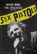 Sex Pistols, English 70's Punk Band, Never Mind the Bollocks , A1, Fridge Magnet