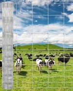 Stock Fencing – 1.8m x 50m Rolls Farm Sheep Cattle Fencing Net Mesh