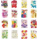 Pressed Dry Flower Real Dried Flowers Natural Plants Aromatherapy Candle