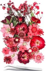 15 Types 37Pcs Red Dried Pressed Flowers for Resin Molds,Youthbro Real Natural P