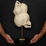 Two Headed Human Skull Replica Craniopagus Bengal Conjoined Twin Skull Display