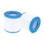 Darlly 2 x Spa Filter C-4310, PWW10, FC-3077, SC750 Hot Tub Spa