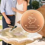 Bird Bath Copper Disk 99.9% Copper Cleaning Disk Triple-Point Support Tools