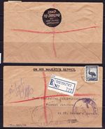 (J156) Reg Letter Scarcer WW11 Slogan. WA Perfin. Titles Office cancel.